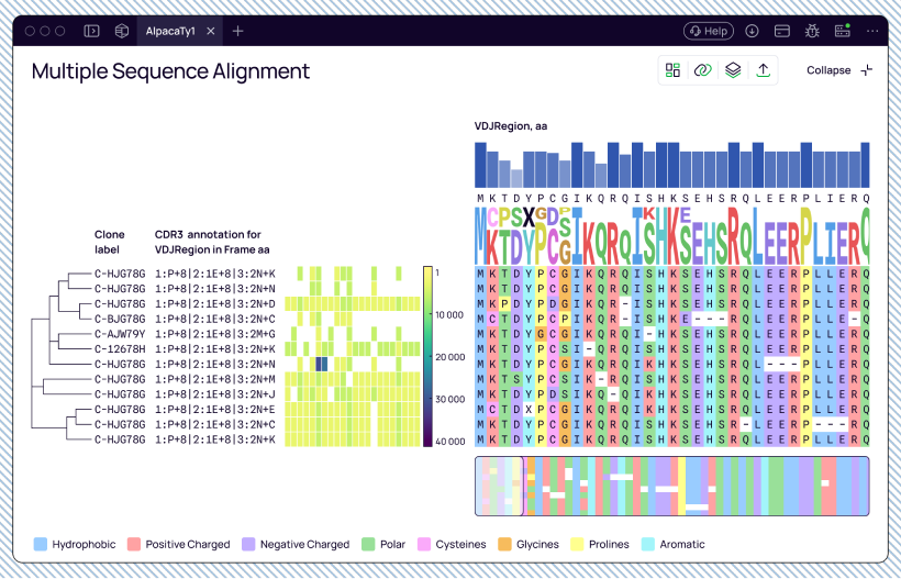 MSA workspace analytical layers