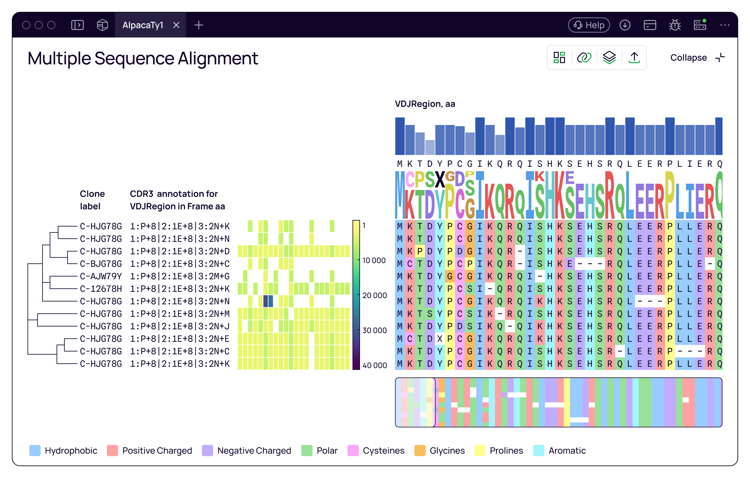 MSA workspace displaying a tree, label columns, heatmap, and alignment together